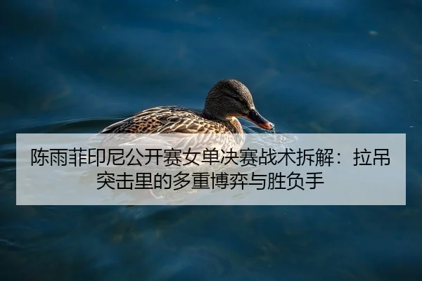 陈雨菲印尼公开赛女单决赛战术拆解：拉吊突击里的多重博弈与胜负手