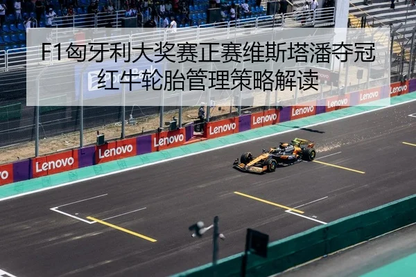 xiong-ya-li-da-jiang-sai-zheng-sai-wei-si-ta-pan-duo-guan-hong-niu-lun-tai-guan-li-ce-lve-jie-du-3-416.jpg